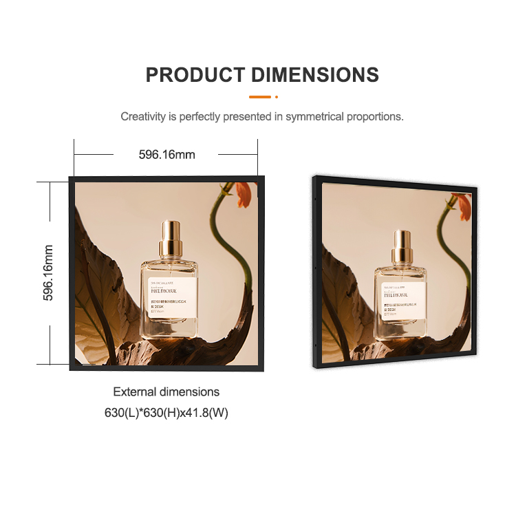 Cornice Digitale WiFi all'Ingr - Digital Photo Frame Wifi recensione e prezzo